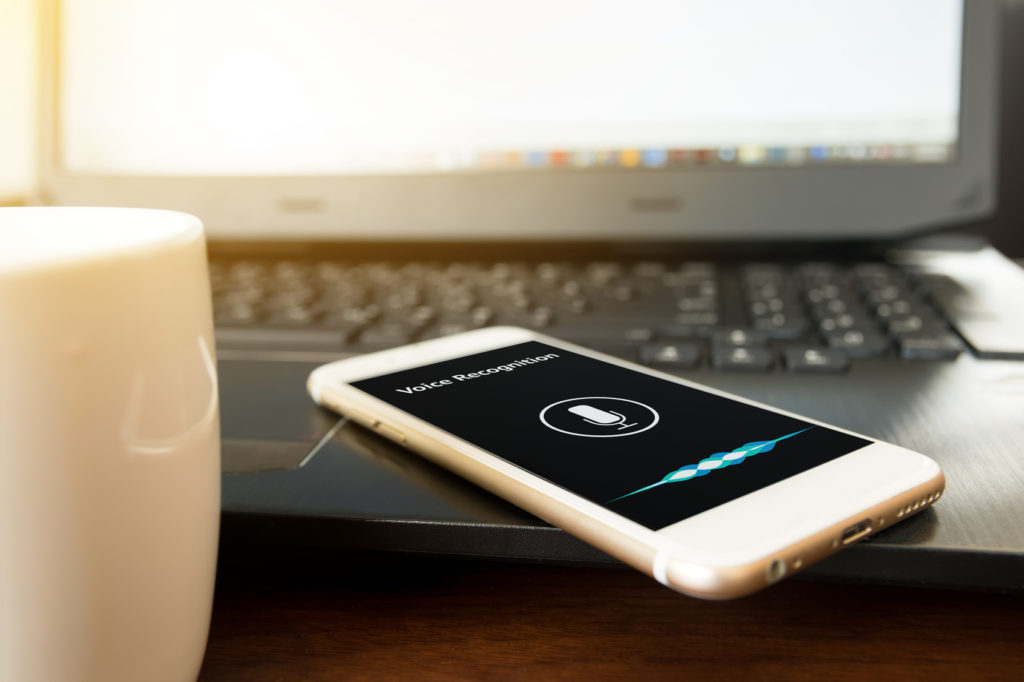 Voice control